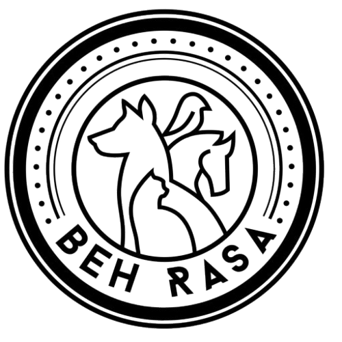 گروه آتیه سازان پرتو ویرا